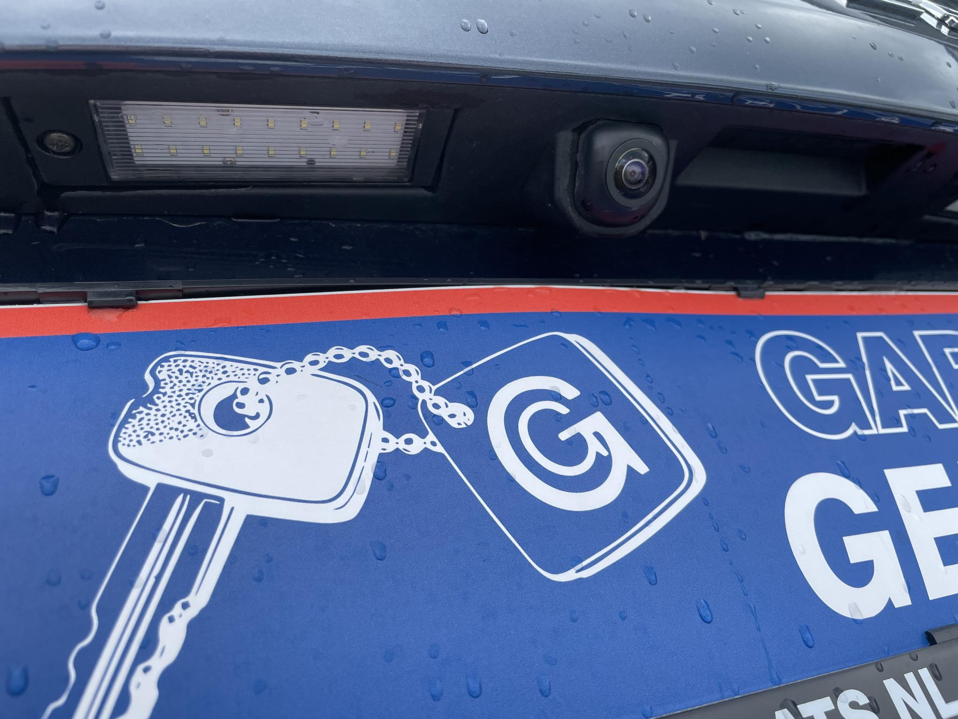 44418392-40.jpg