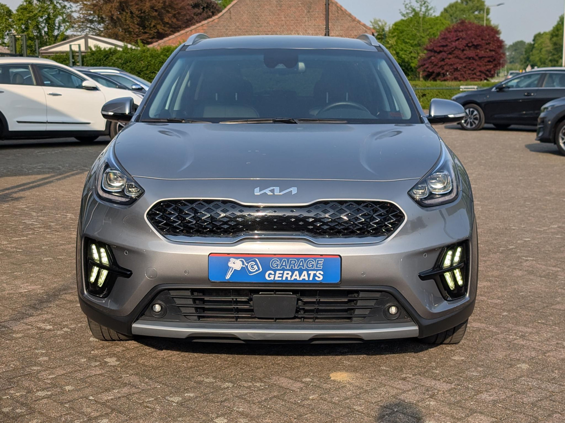 48580533-3.jpg